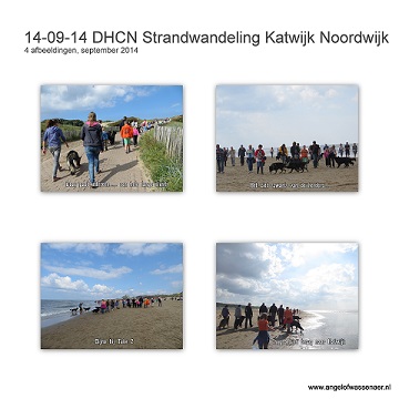DHCN Strandwandeling van Katwijk naar Noordwijk en terug met weer heel veel herders